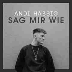 Sag mir wie 2018 Andi Habbig  sw